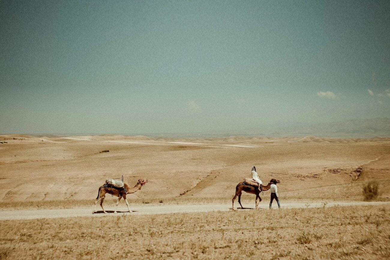 Couple riding camels in the Desert filmed by a Morocco Wedding Videographer