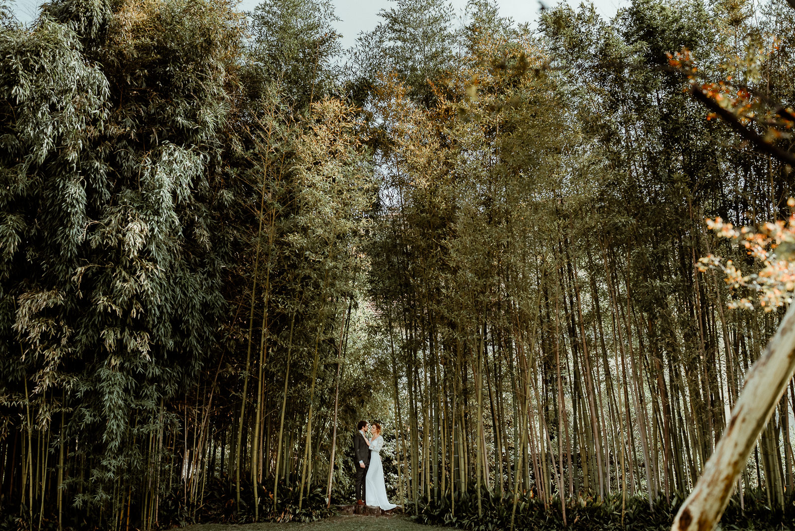 A bride and groom between the impressive high green trees of Villa Melzi after their intimate Lake Como Elopement in Villa Monastero